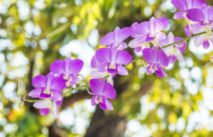 shutterstock_354769613