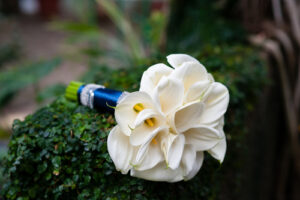 shutterstock_386454907