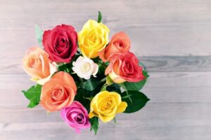 shutterstock_386876935